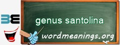 WordMeaning blackboard for genus santolina